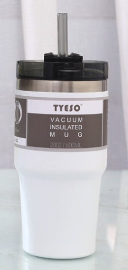 TYESO Stainless Steel with Lid and Straw for Water, Iced Tea or Coffee